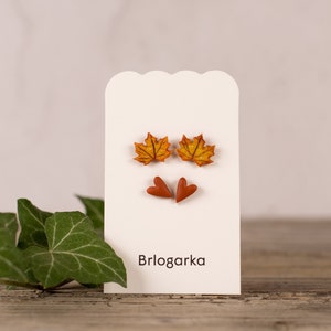 Set handgemaakte oorbellen esdoornblad en hart: titanium herfstsieraden
