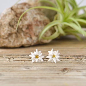 Edelweiss Flower Stud Earrings: Titanium or Stainless Steel