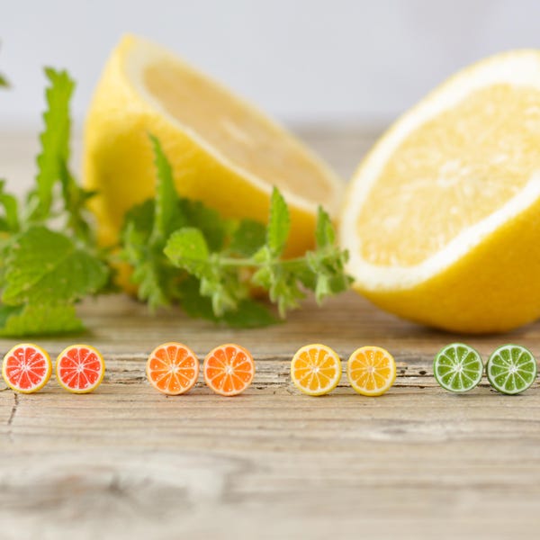 Citrus Fruit Stud Earrings: Handmade Polymer Clay, Titanium Posts