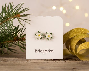 White Miniature Poinsettia Earrings, Christmas Studs, Christmas Star Flower Earrings, Titanium Flower earrings, White and gold