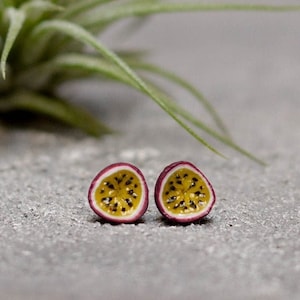 Passion Fruit Stud Earrings, Fruit earrings, Titanium Earrings, Maracuja Studs, Stud earrings, Passion Fruit Jewelry, Unique Earrings