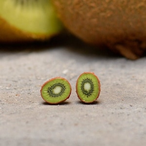 Kiwi Fruit Stud Earrings, Unique Earrings, Unique Earrings, Titanium Earrings, Gift for her, Food Jewelry, Miniature Fruit Earrings