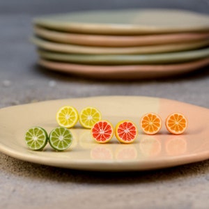 Citrus Fruit Studs Earrings, Titanium Earrings, Fruit Earrings, Clay Orange, Lemon, Grapefruit, Lime, Titanium Earrings, Unique Earrings image 1