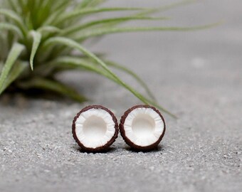 Coconut Stud Earrings, Unique Earrings, Food earrings, Summer earrings, Nature earrings, Shell earrings, Titanium Earrings