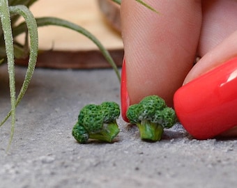 Broccoli Stud Earrings, Vega Gift, Green Earrings, Funny earrings, Quirky earrings, Unique Earring, Novelty earrings, Titanium Earrings