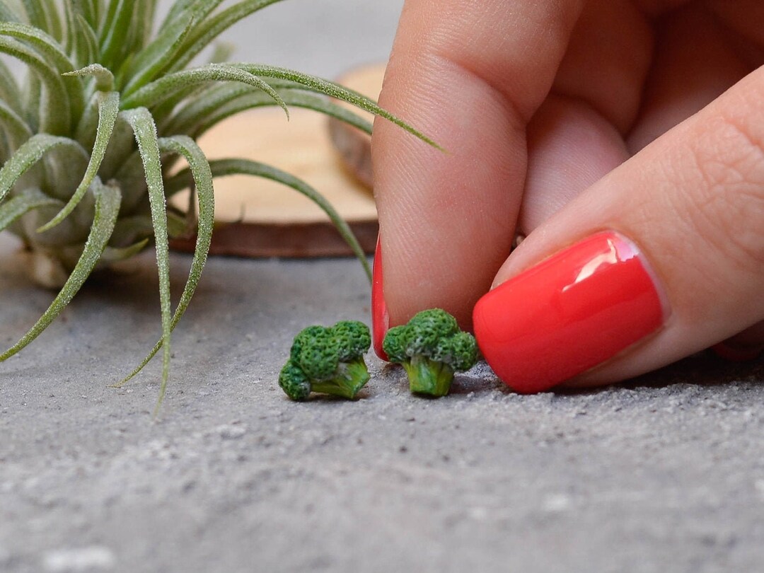 Broccoli Stud Earrings Vega Gift Green Earrings Funny Etsy