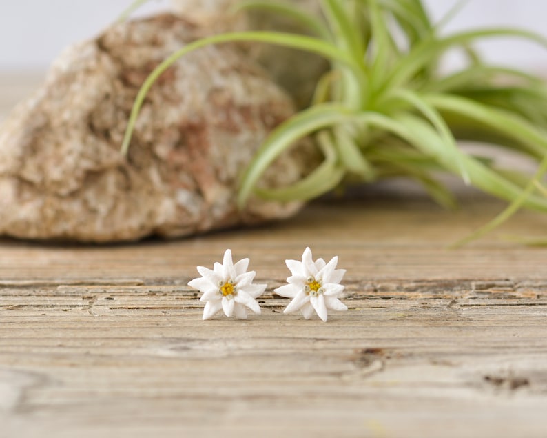 Boucles d'oreilles fleurs d'edelweiss Boucles d'oreilles fleurs blanches Boucles d'oreilles florales en argile image 1