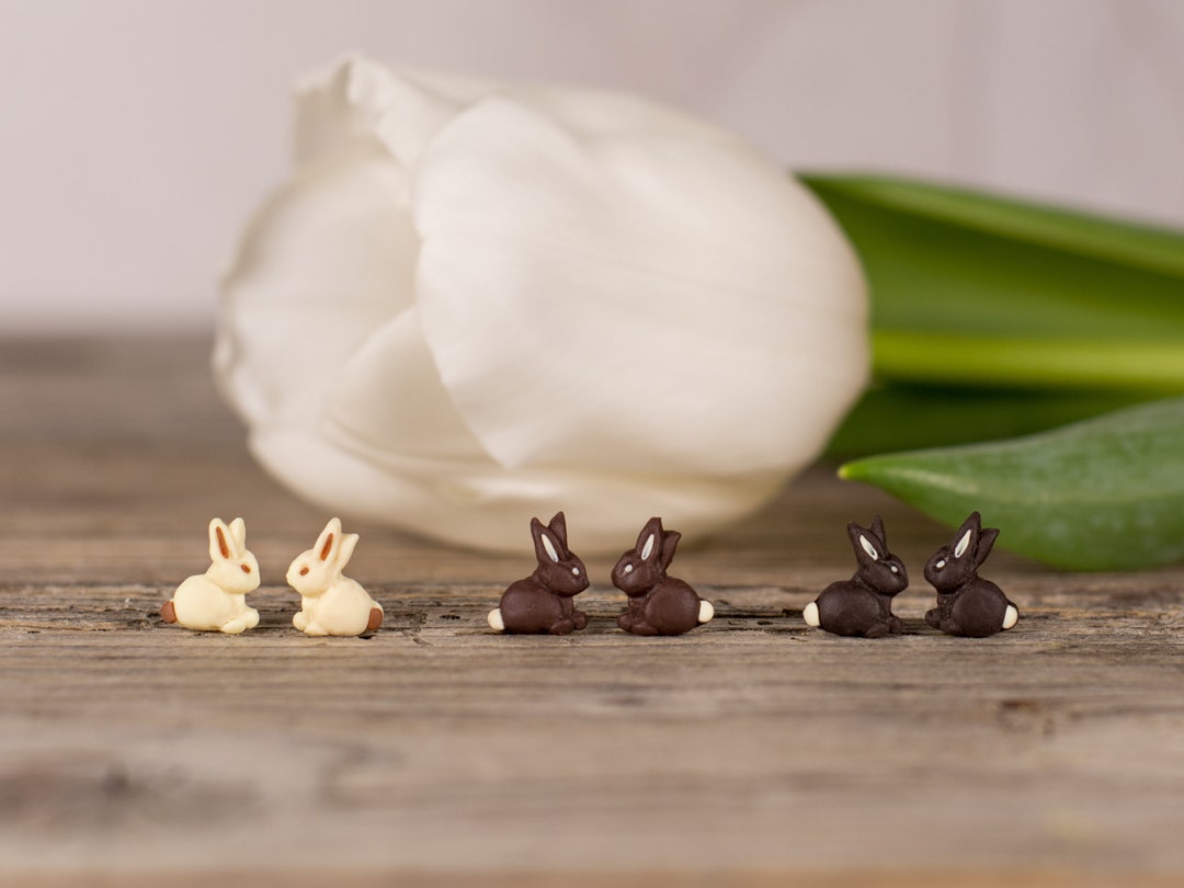 Handmade Chocolate Bunny Earrings for Easter or Sweet Treat Etsy