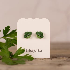 Broccoli Stud Earrings, Vega Gift, Green Earrings, Funny earrings, Quirky earrings, Unique Earring, Novelty earrings, Titanium Earrings