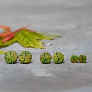 Green Leaf Earrings, Circle Gren Stud, Autumn Earrings, Titanium earring, Nature Jewelry, Everyday Earrings, Unique Earrings