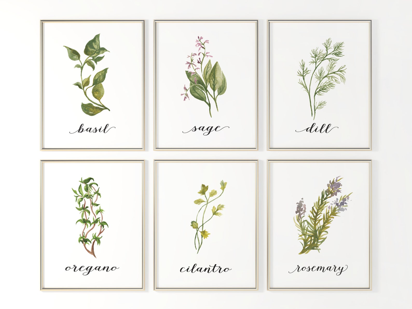 Herb Print Set Herb Prints for Kitchen Herb Printable Art - Etsy
