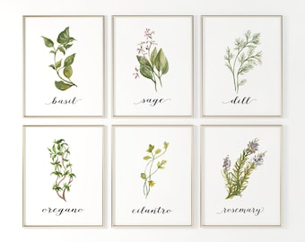 Herb Print Set, Herb Prints for Kitchen, Herb Printable Art, Digital Botanical Print Set of 9, Botanical Print Herbs, Kitchen Décor Wall Art