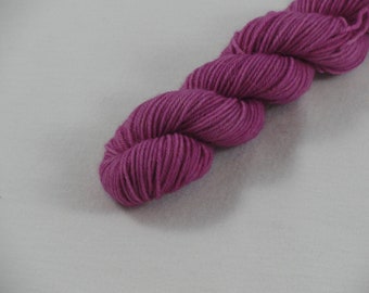 Razzberry Hand Dyed Mini Skeins