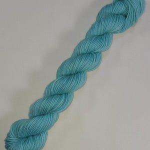 May include: A skein of light blue yarn.