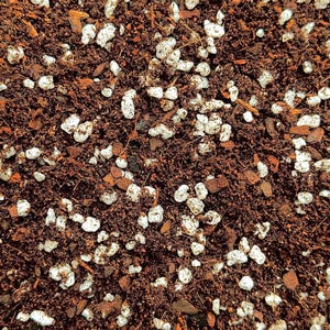 Premium Houseplant Potting Mix - Professionally Formulated - (Coco Coir, Orchiata, Perlite, Worm Castings & Biochar)