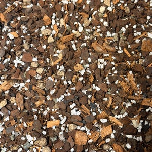May include: A potting soil mixture consisting of dark brown wood bark chips, fibrous coconut coir strands, small grey porous volcanic rock fragments, and tiny white perlite granules, creating a coarse and textured substrate for plant growth.