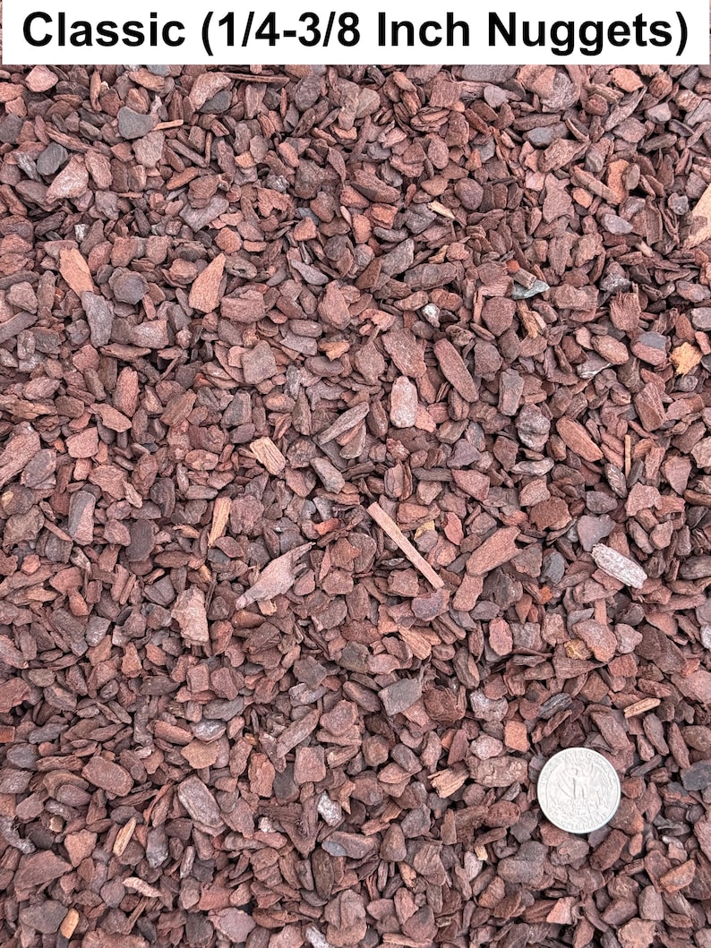 Daltons Orchiata Pine Bark - Thumbnail 5