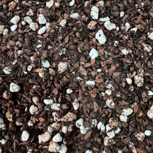 May include: Close-up of a mix of dark brown wood chips and white perlite. The wood chips vary in size and shape, creating a textured surface. The white perlite is scattered throughout the mix, providing aeration for plants.