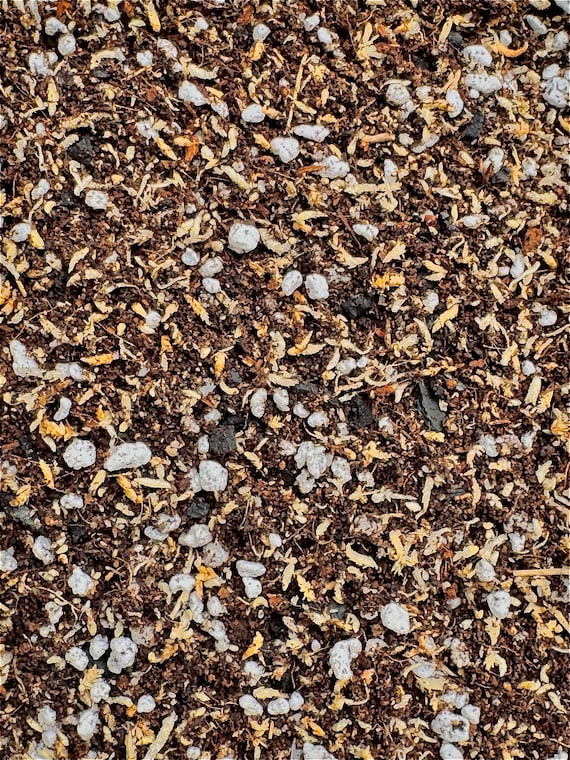 Begonia Mix (#3): Fine-Textured & Peat-Free. The ultimate moisture-balanced substrate for Rex, Angel Wing, and Rhizomatous Begonias.