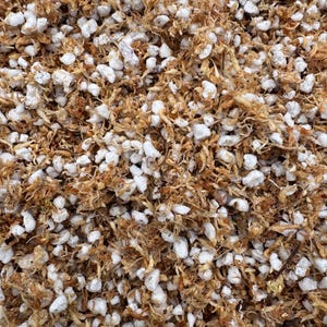 May include: Close-up of a mixture of brown and white dried moss, commonly used as a substrate for plants.