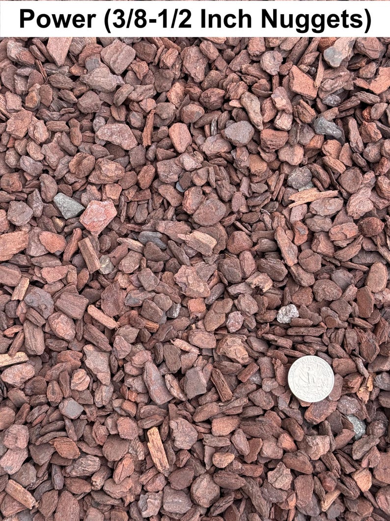 Daltons Orchiata Pine Bark - Thumbnail 4