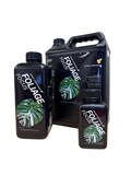 GT Foliage Focus Fertilizer - Great for all foliage plants such as Aroids, Palms, Ferns, Houseplants, etc