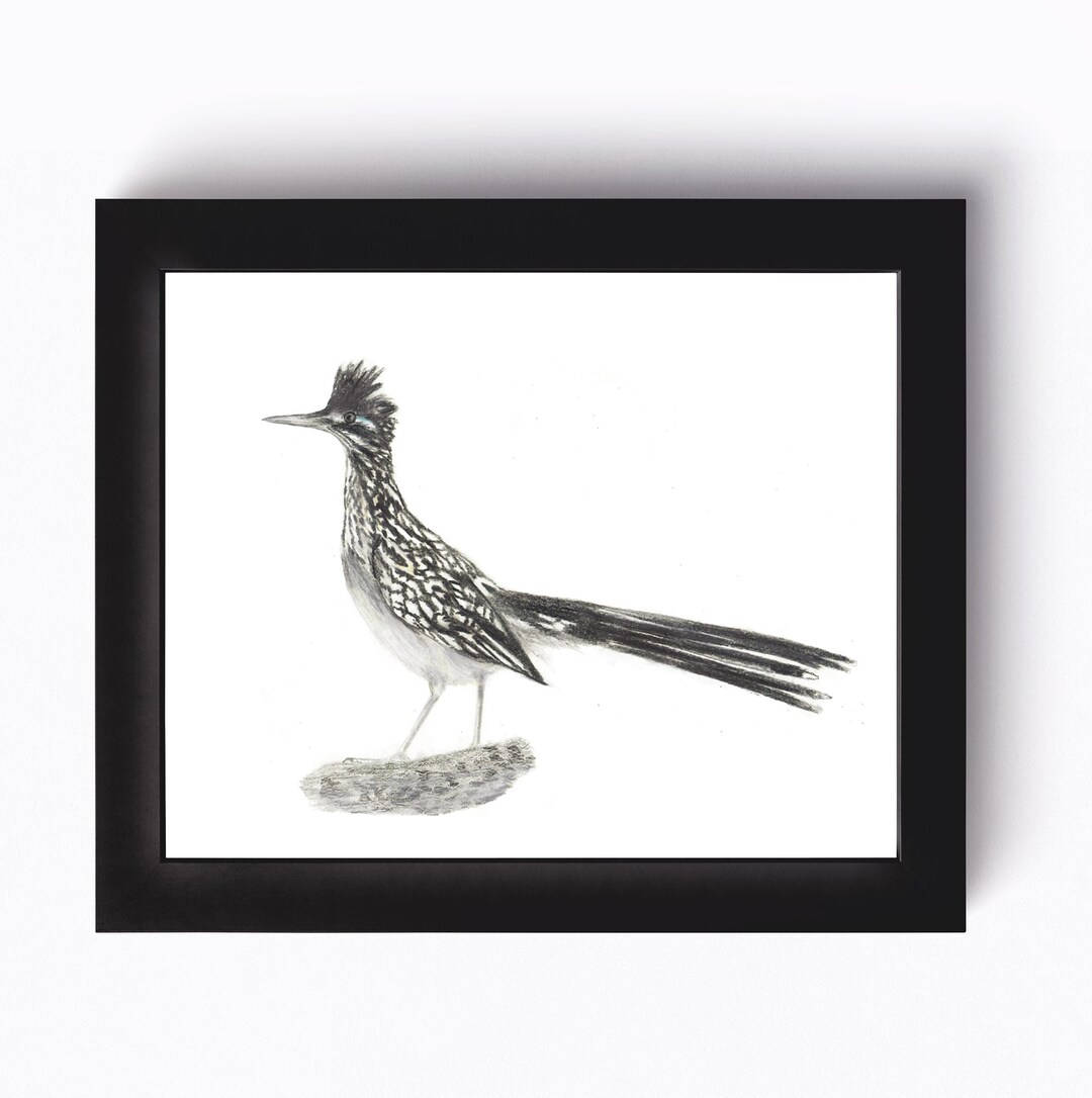 Roadrunner Print - Etsy