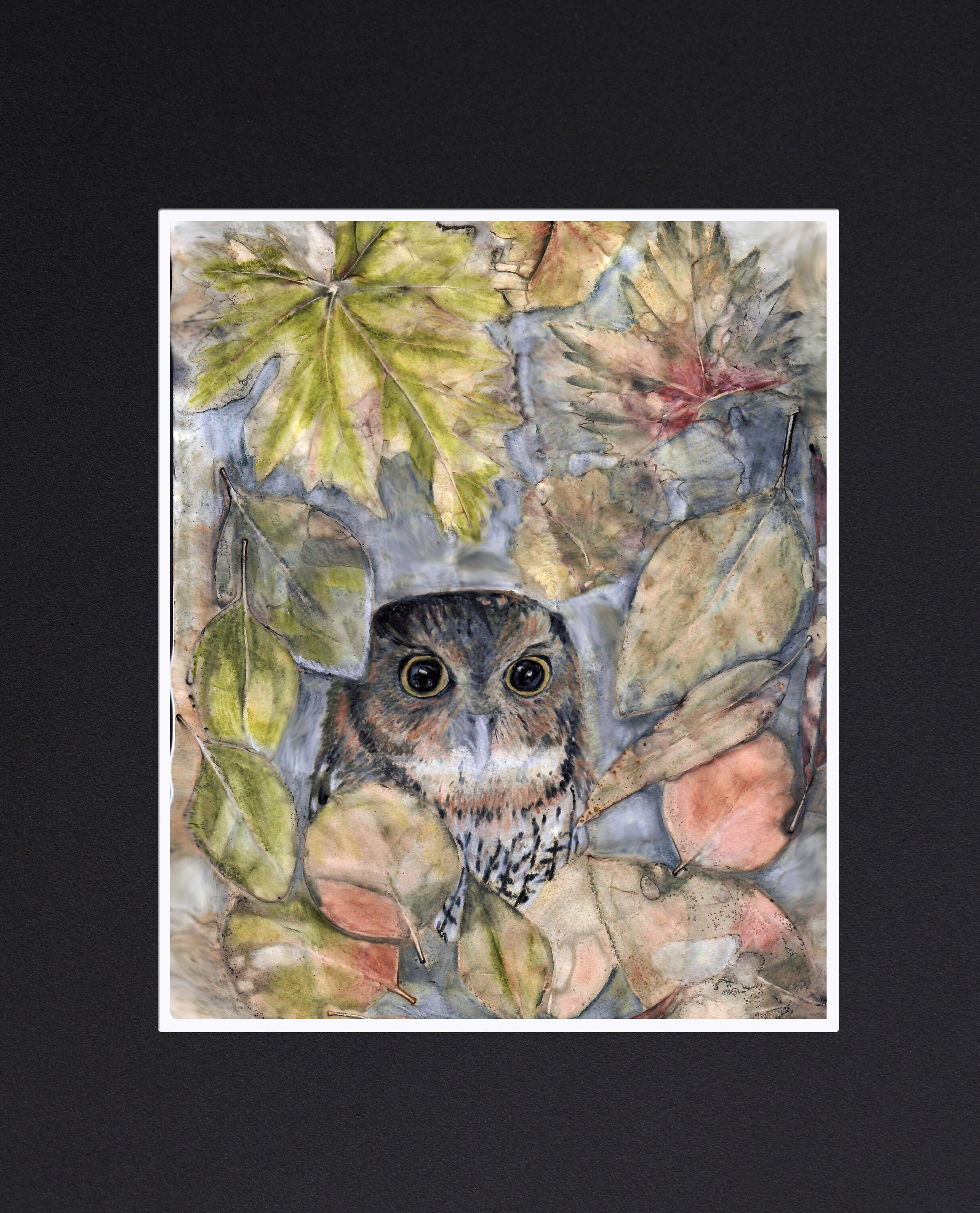Screech Owl Print - Etsy