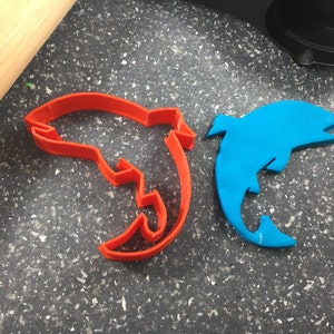 Tagliapasta a forma di trota: design divertente per dolci, artigianato e celebrazioni a tema pesca