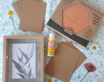 DIY Herbarium Kit - Schnell