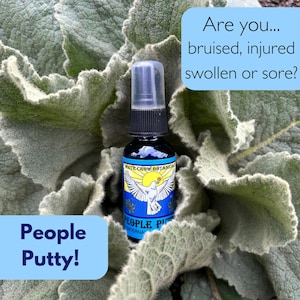 People Putty 1 oz Sore Muscle & Tissue Rub in Herbal Healing Spray with Comfrey, Lobelia, Injury Healing Support for Sprains, Bruises, Pain