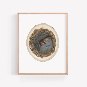 May include: A watercolor painting of a gray squirrel curled up and sleeping inside a tree trunk cross-section. The squirrel is surrounded by brown leaves and twigs.