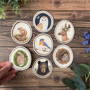 Woodland Animal Sticker Set: Glossy Vinyl Decals