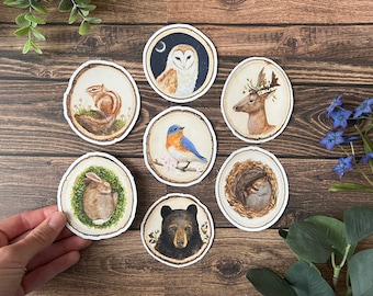 Woodland Animal Sticker Set: Glossy Vinyl Decals