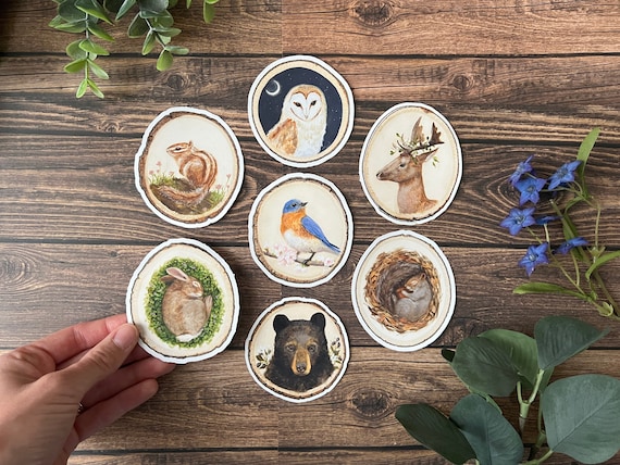 Woodland Animal Sticker Set: Glossy Vinyl Decals