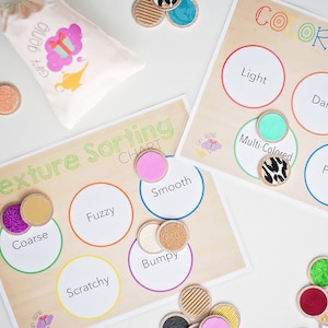 Preschool & kindergarten sensory sorting activity and match game,  early educational toy for home and school learning