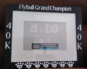 Flyball Title Frame