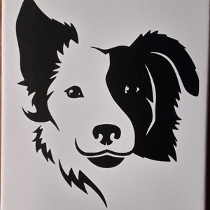 Split Face Border Collie T-Shirt