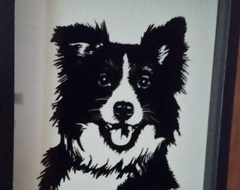 Border Collie Face In Shadow Box