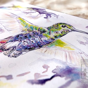 A5/A4 Hummingbird Print