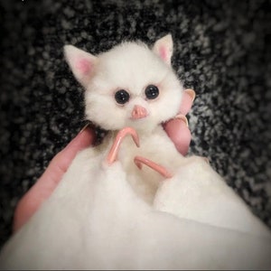 Needle Felted White Bat: Handmade Wool Animal Sculpture