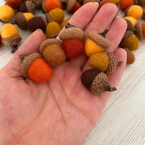 Glands en laine feutrée : décoration d&#39;automne, bonnets en chêne véritable, faits main - Lot de 30