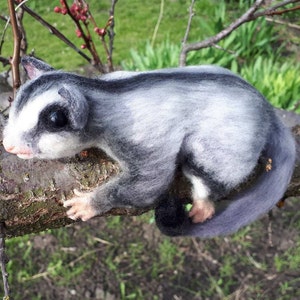 Felted sugar glider, Needle felted animal, Needle felted sugar glider,  Felted suggies, Sugar glider lover&#39;s gift