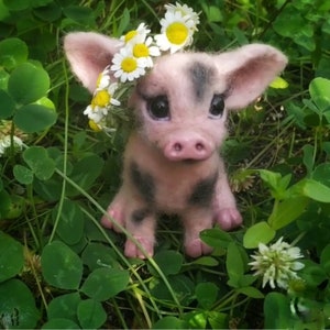 Needle Felted Piglet Sculpture: Handmade Wool Piggy Gift