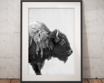 Buffalo Print, Bison Wall Art, Black and White Buffalo, Modern Minimal, Animal Photography, Printable Art, Instant Download, large poster