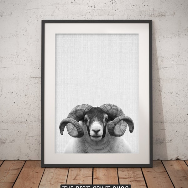 Bighorn Sheep Print, Farm Animal Wall Art, Black and White, bighorn ram, Printable Art, Nursery Animal Print, Modern Minimalist Wall Art