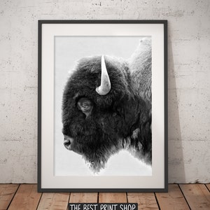 Buffalo Print, Bison Wall Art, Black and White Buffalo, Modern Minimal, Animal Photography, Printable Art, Instant Download, 18 x 24