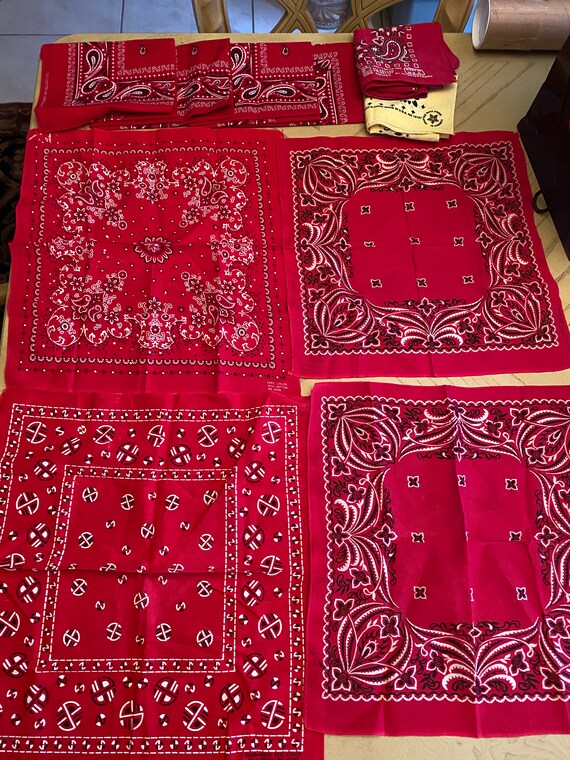 Vintage Hav A Hank Bandana Handkerchief Native Americ Gem