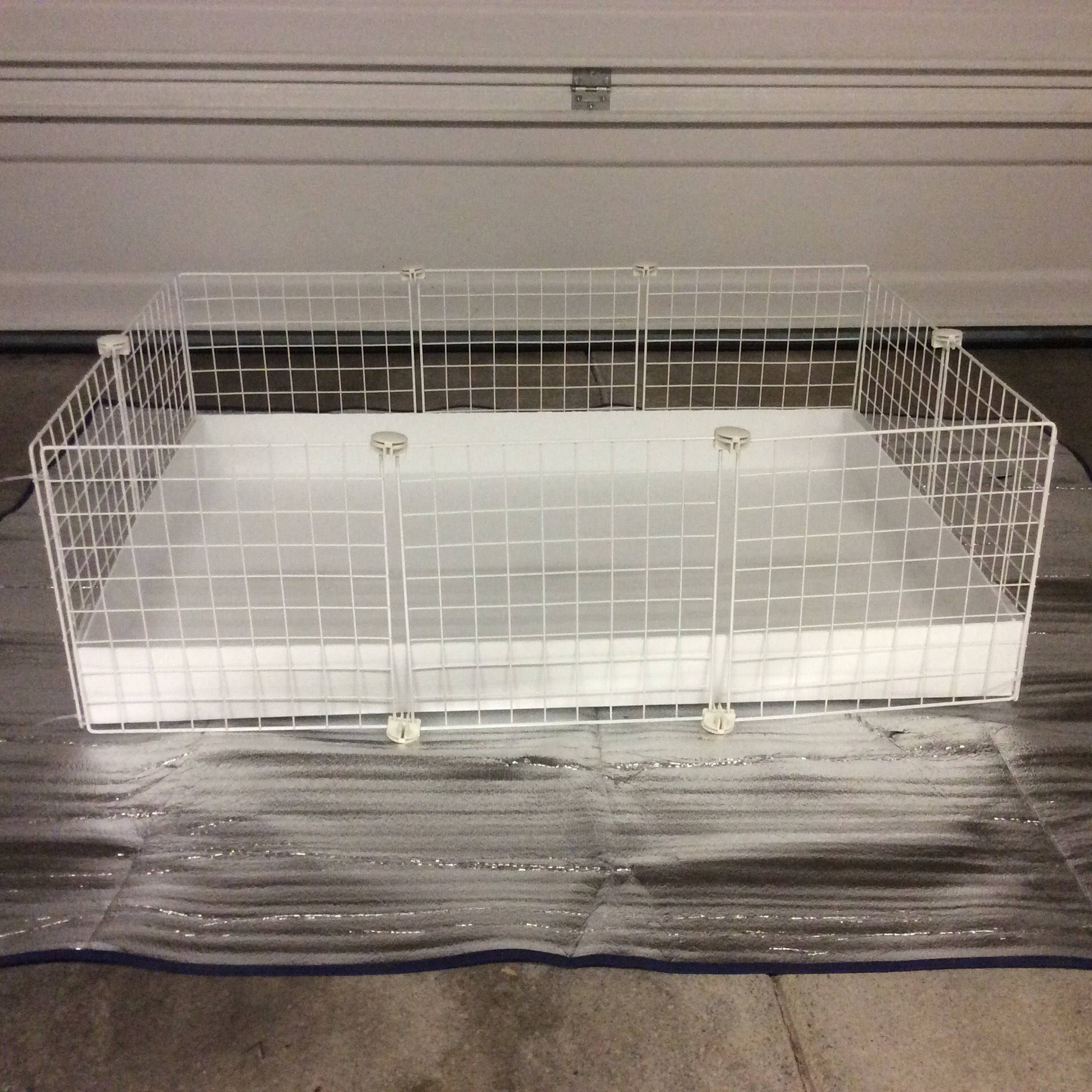 2x3 CC Guinea Pig Cage 14 x 14 Wire Grid Etsy