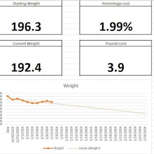 Fitness- och nykterhetsspårare 2025! Utmärkt kalkylblad för hälsa